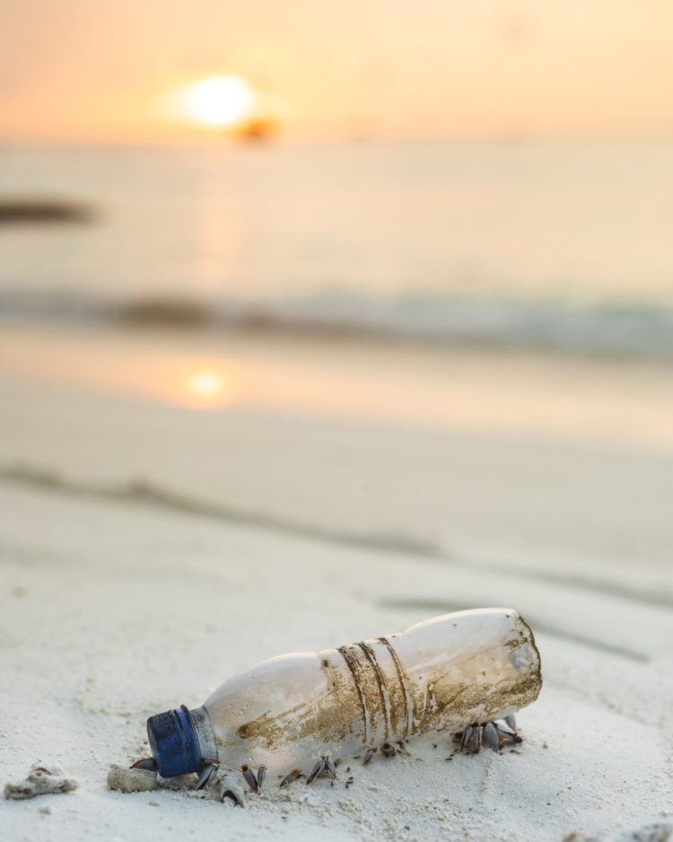 Palm Beach to Prohibit Plastics